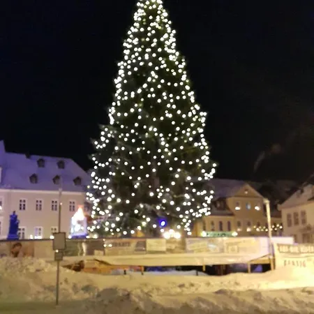 Altstadtherz Appartement Annaberg-Buchholz